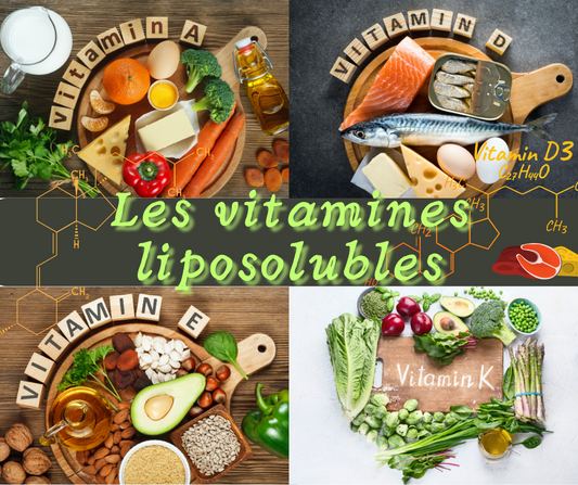 Vitamines Liposolubles : Rôles, Sources, Apports Recommandés et Signes de Carence
